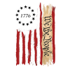 desgin We The People 1776 T-Shirt – Patriotic Distressed American Flag Tee with Constitution Script, Independence Day USA