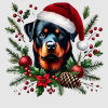 Hooey Design – Whimsical Rottweiler Holiday Design, Perfect for Christmas Spirit, Pet Lovers Celebrating the Season